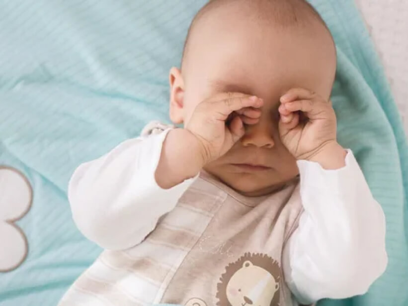 1xBet Sports Betting App